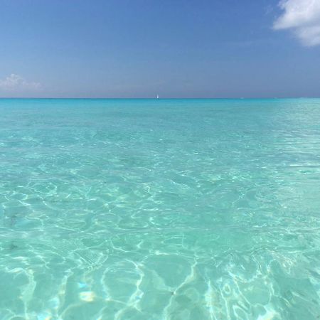 B&B Villa Hibiscus Playa del Carmen Luaran gambar