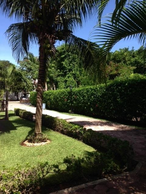 B&B Villa Hibiscus Playa del Carmen Luaran gambar